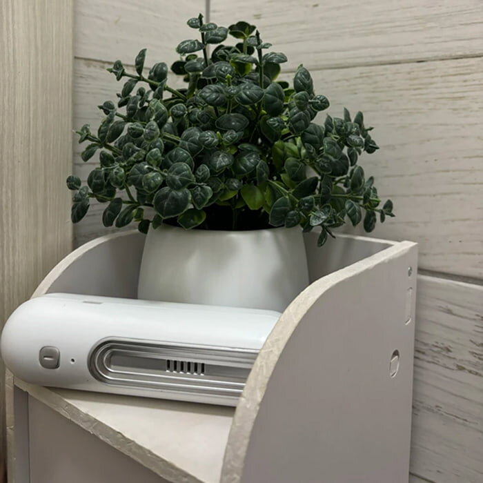 Ozoori deodorizer on a bathroom shelf under a plant