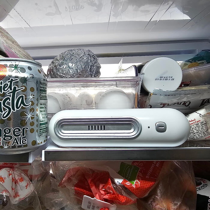 Ozoori deodorizer sitting on a shelf inside a full family fridge